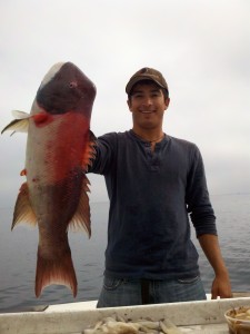 2011-08-22_08-42-43_129