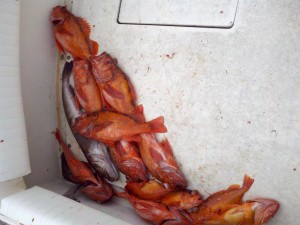 2011-09-24_15-33-48_821