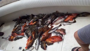 2012-06-17_11-51-20_132